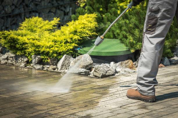 Best Pre-Holiday Cleaning  in Conway, FL