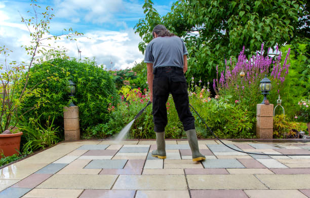 Best Fence Cleaning  in Conway, FL
